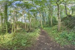 OLD-HALL-WOODS-PANO1