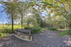 OLD_HALL_BENCH_PANO1[1]