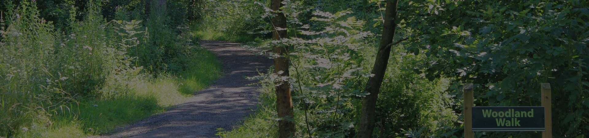 a woodland walk at Old Hall Caravan Park in Lancashire