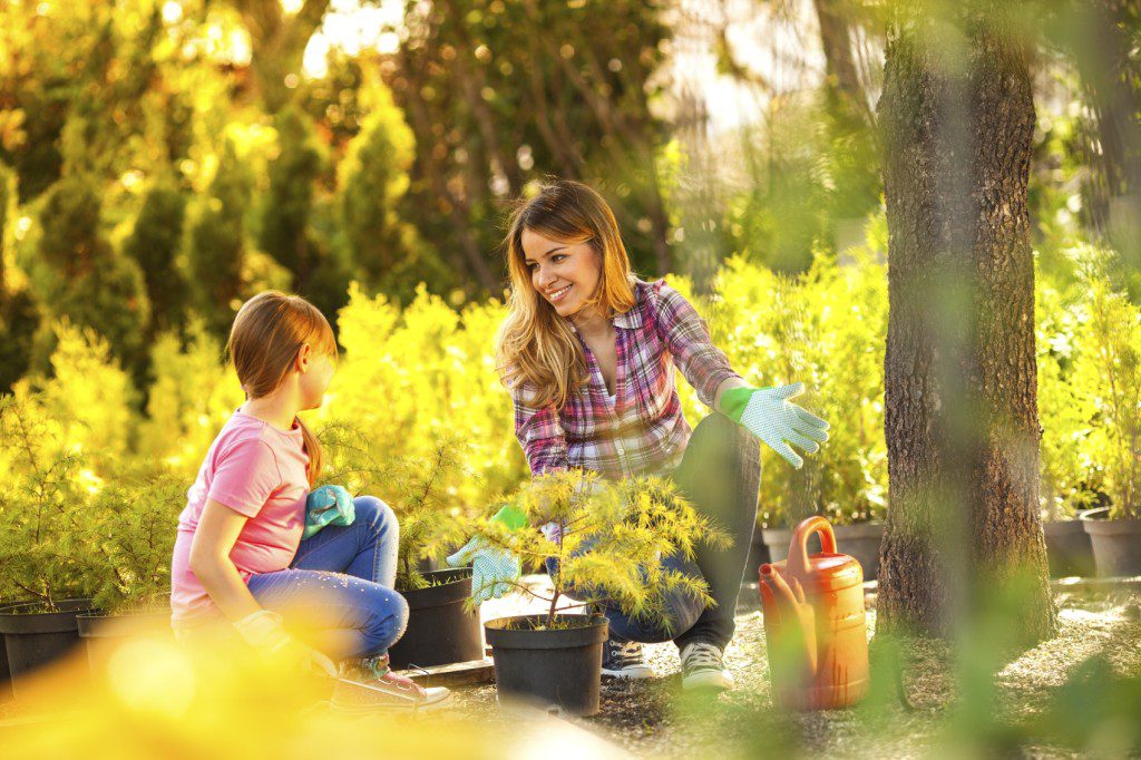 Family planting garden iStock_000043600650_Medium