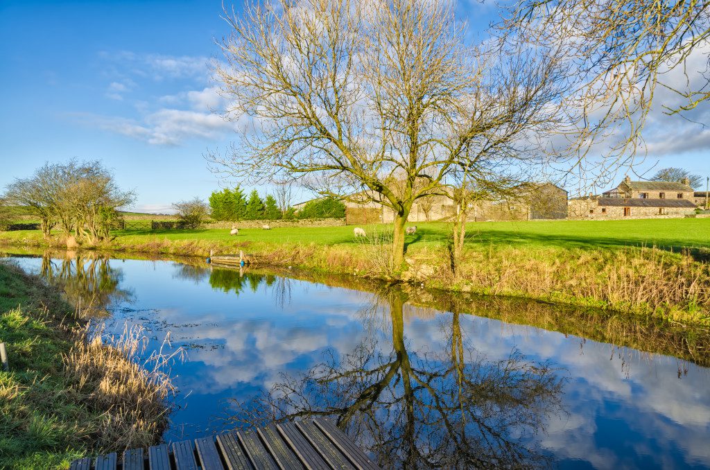 Sunny Winter day with bare trees beside the Lancaster Canal in Cumbria, England with green fields and blue sky.