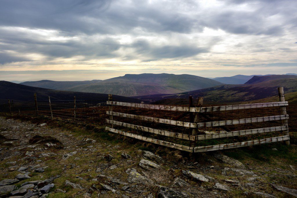 The fence line on the summit