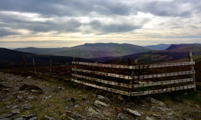 The fence line on the summit