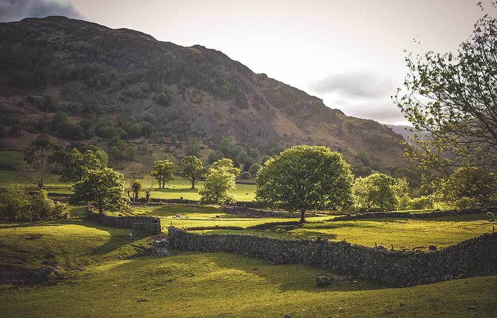 langdale