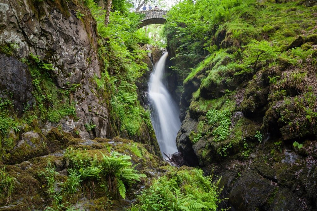 Aira Force