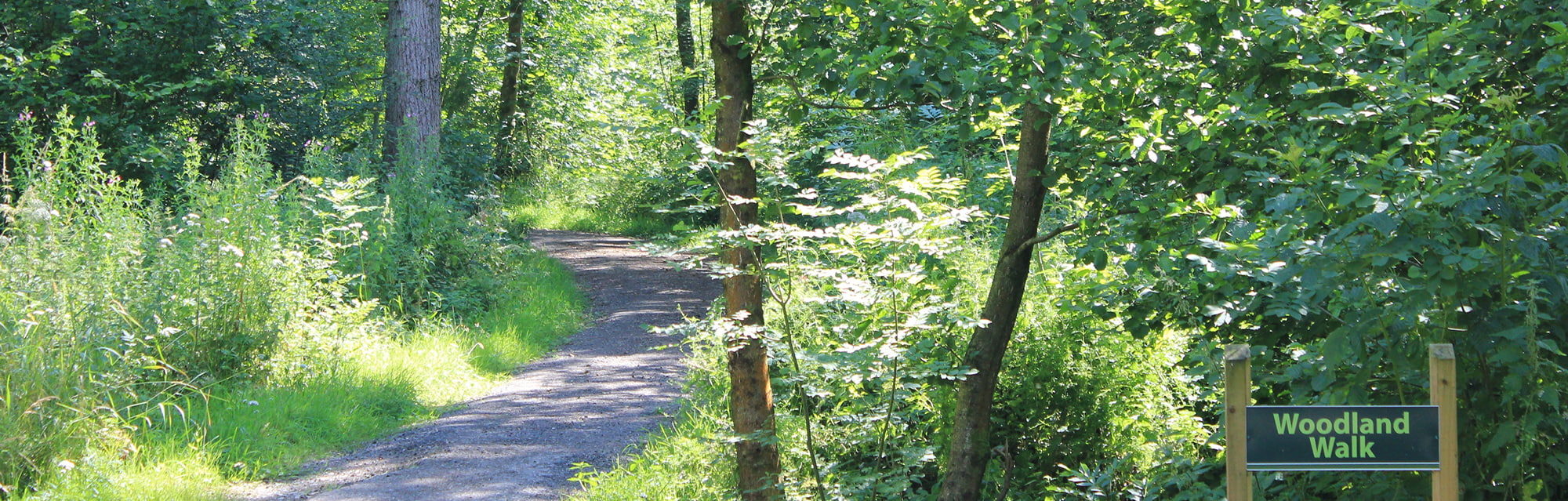 Woodland Walk at Our Caravan Park Lancashire