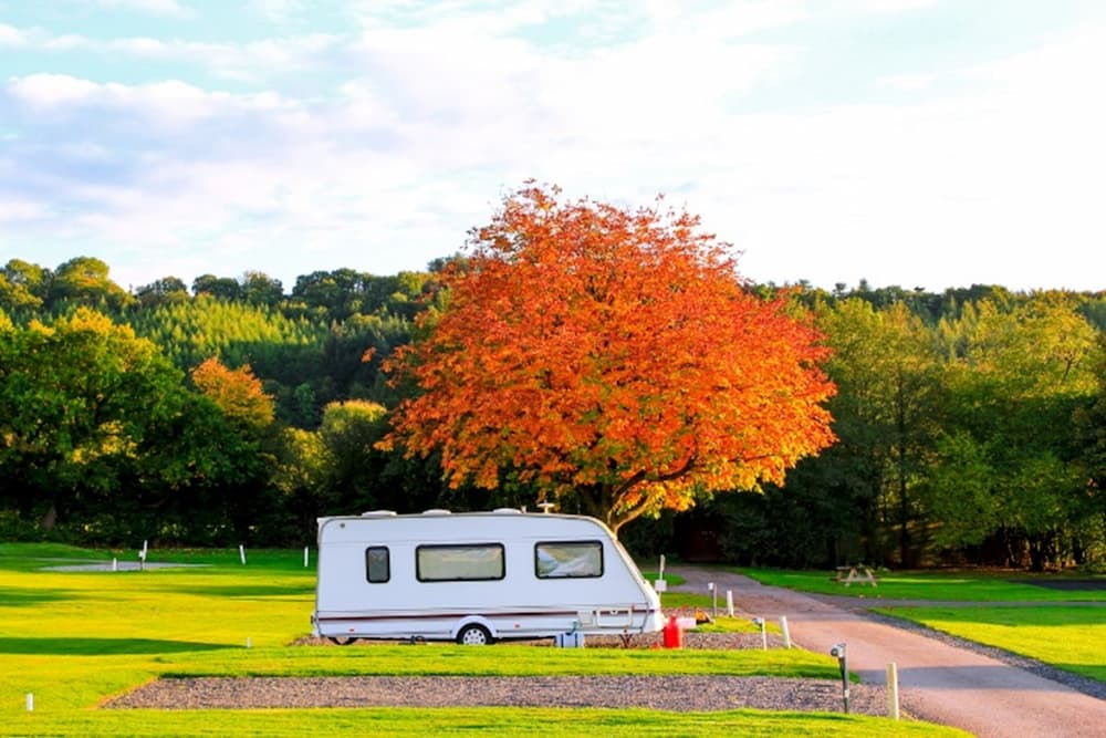 seasonal caravan