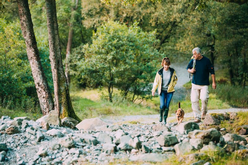 Family walking with dog in countryside