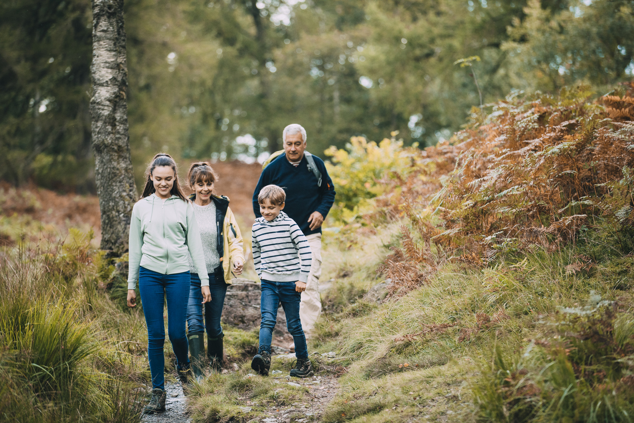 Two children are hiking with their grandparents in the woodland of the Lake District.