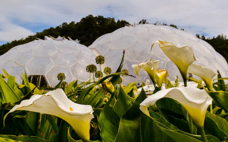 Flowers and Biodome